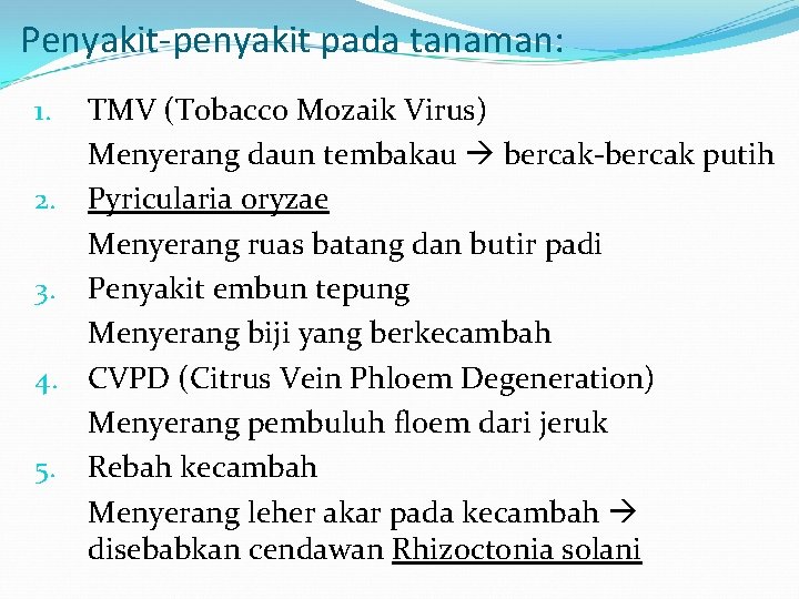 Penyakit-penyakit pada tanaman: TMV (Tobacco Mozaik Virus) Menyerang daun tembakau bercak-bercak putih 2. Pyricularia