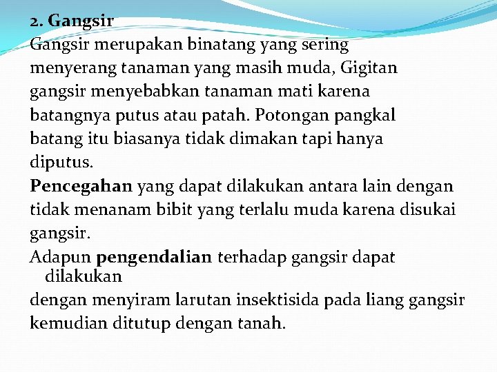 2. Gangsir merupakan binatang yang sering menyerang tanaman yang masih muda, Gigitan gangsir menyebabkan