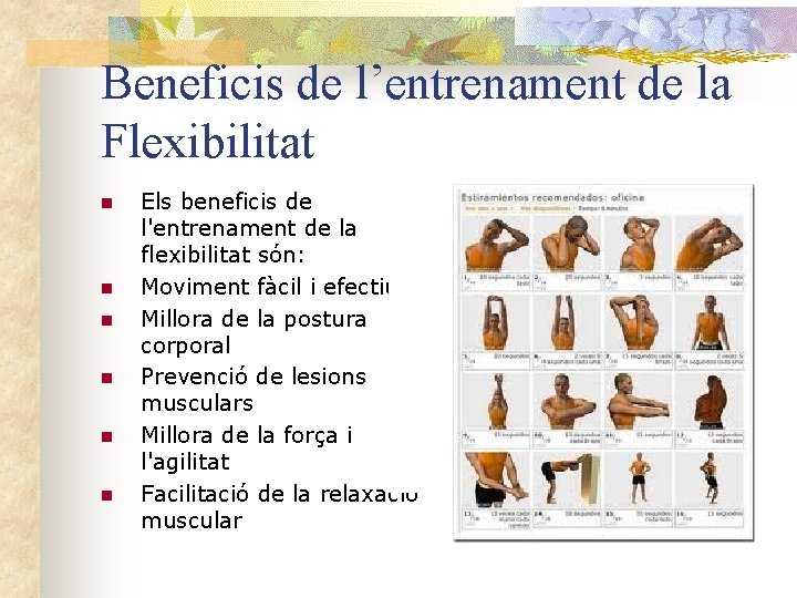 Beneficis de l’entrenament de la Flexibilitat n n n Els beneficis de l'entrenament de