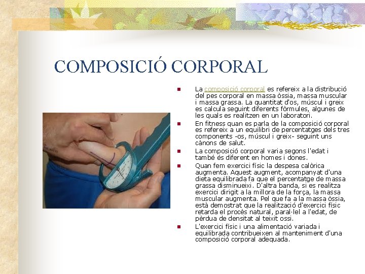  COMPOSICIÓ CORPORAL n n n La composició corporal es refereix a la distribució