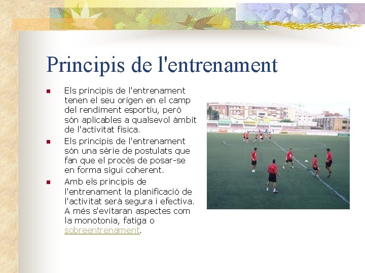 Principis de l'entrenament n n n Els principis de l'entrenament tenen el seu orígen