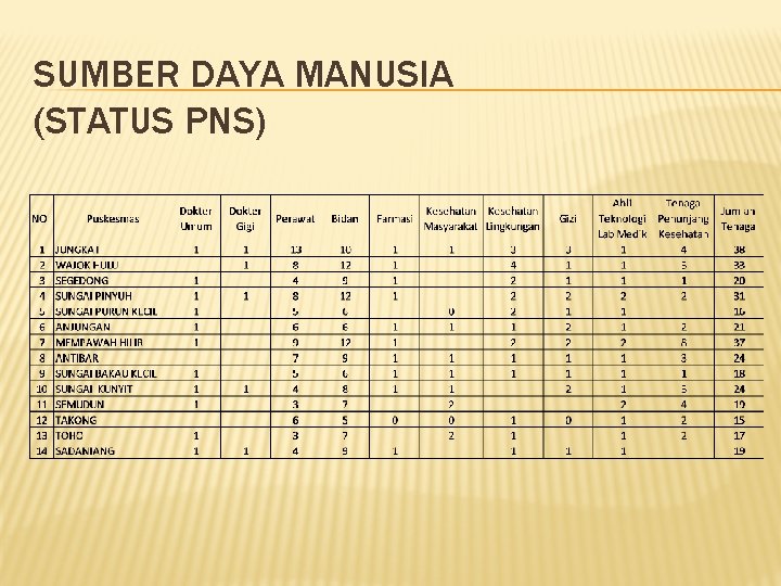 SUMBER DAYA MANUSIA (STATUS PNS) 