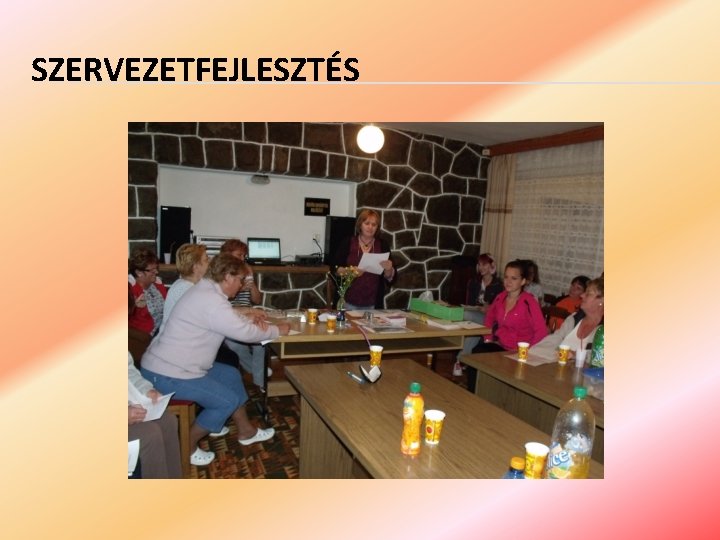 SZERVEZETFEJLESZTÉS 