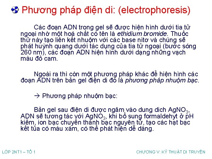 Phương pháp điện di: (electrophoresis) Các đoạn ADN trong gel sẽ được hiện hình