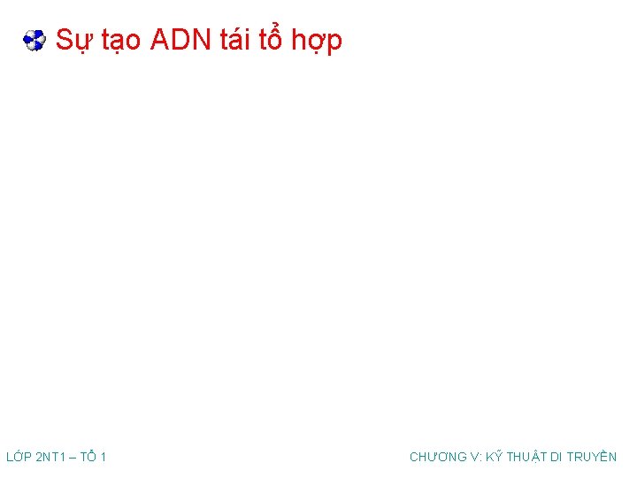 Sự tạo ADN tái tổ hợp LỚP 2 NT 1 – TỔ 1 CHƯƠNG