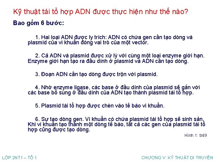 Kỹ thuật tái tổ hợp ADN được thực hiện như thế nào? Bao gồm