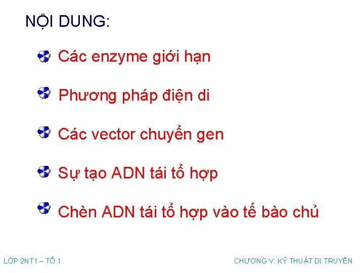 NỘI DUNG: Các enzyme giới hạn Phương pháp điện di Các vector chuyển gen