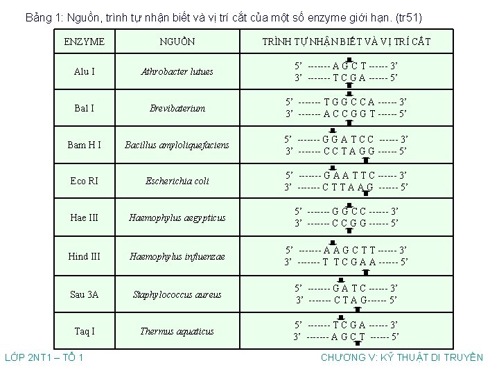 Bảng 1: Nguồn, trình tự nhận biết và vị trí cắt của một số