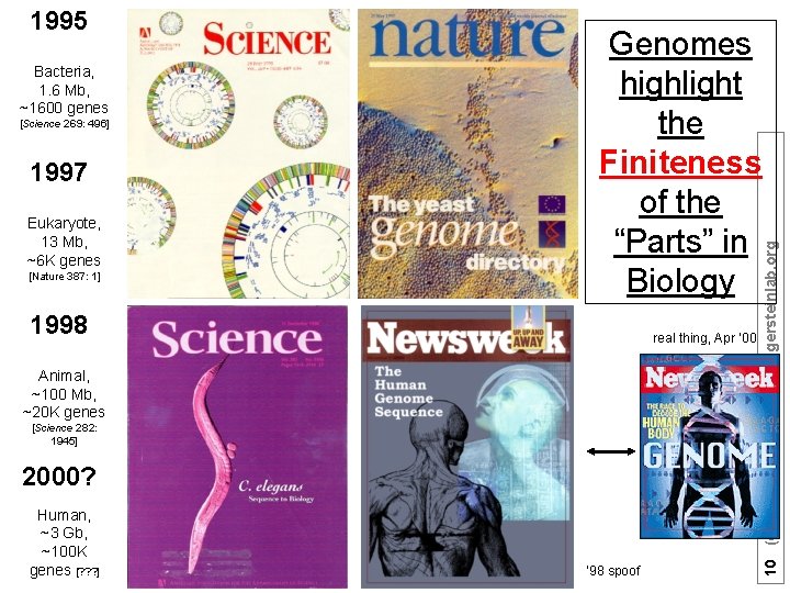 Bacteria, 1. 6 Mb, ~1600 genes [Science 269: 496] 1997 Eukaryote, 13 Mb, ~6