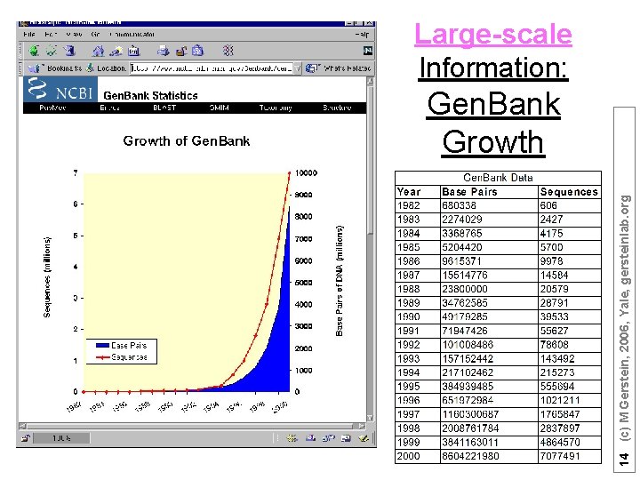 14 (c) M Gerstein, 2006, Yale, gersteinlab. org Large-scale Information: Gen. Bank Growth 