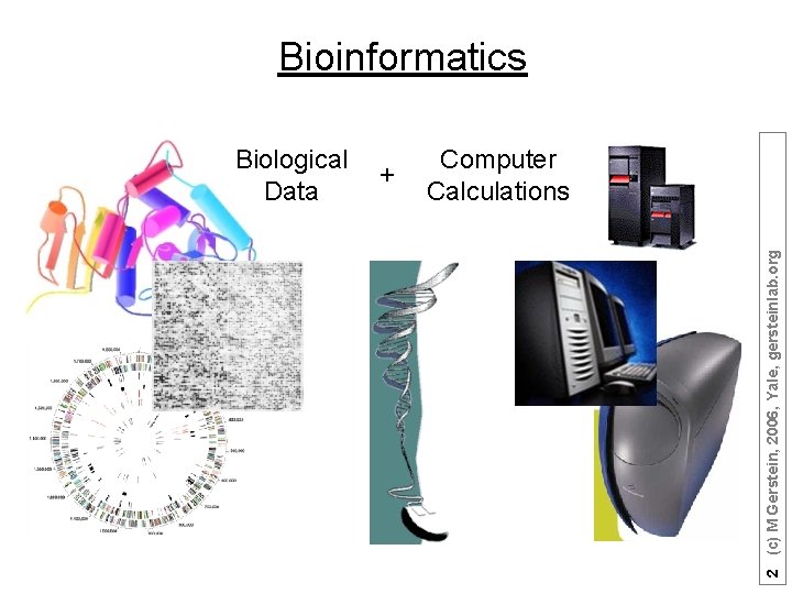 Bioinformatics + Computer Calculations 2 (c) M Gerstein, 2006, Yale, gersteinlab. org Biological Data