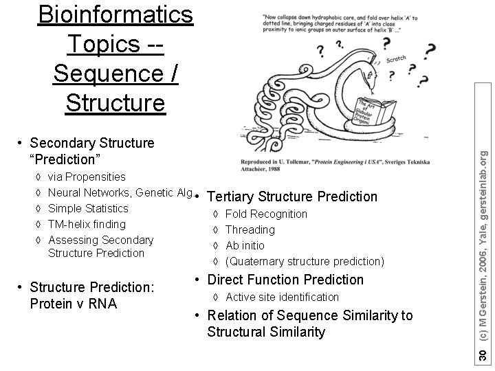  • Secondary Structure “Prediction” à à à via Propensities Neural Networks, Genetic Alg.