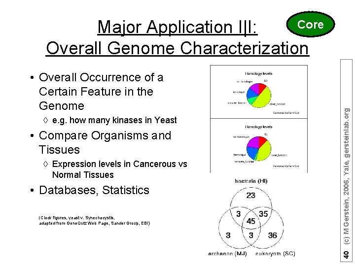  • Overall Occurrence of a Certain Feature in the Genome à e. g.