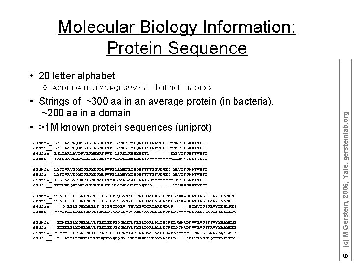 Molecular Biology Information: Protein Sequence • 20 letter alphabet but not BJOUXZ • Strings