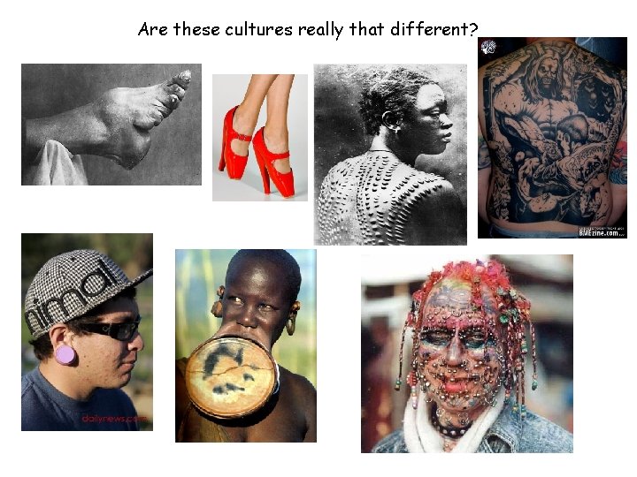 Are these cultures really that different? 