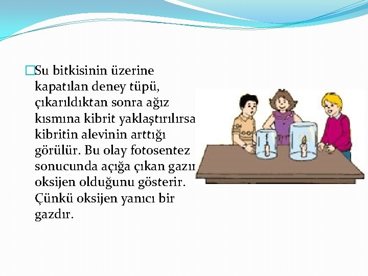 �Su bitkisinin üzerine kapatılan deney tüpü, çıkarıldıktan sonra ağız kısmına kibrit yaklaştırılırsa kibritin alevinin