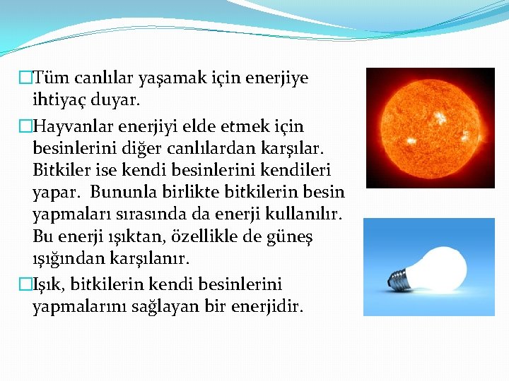 �Tüm canlılar yaşamak için enerjiye ihtiyaç duyar. �Hayvanlar enerjiyi elde etmek için besinlerini diğer