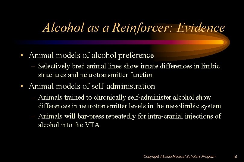 Alcohol as a Reinforcer: Evidence • Animal models of alcohol preference – Selectively bred