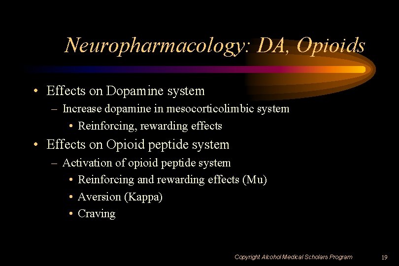 Neuropharmacology: DA, Opioids • Effects on Dopamine system – Increase dopamine in mesocorticolimbic system