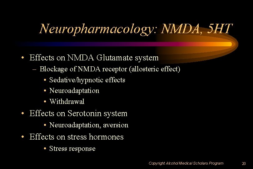 Neuropharmacology: NMDA, 5 HT • Effects on NMDA Glutamate system – Blockage of NMDA