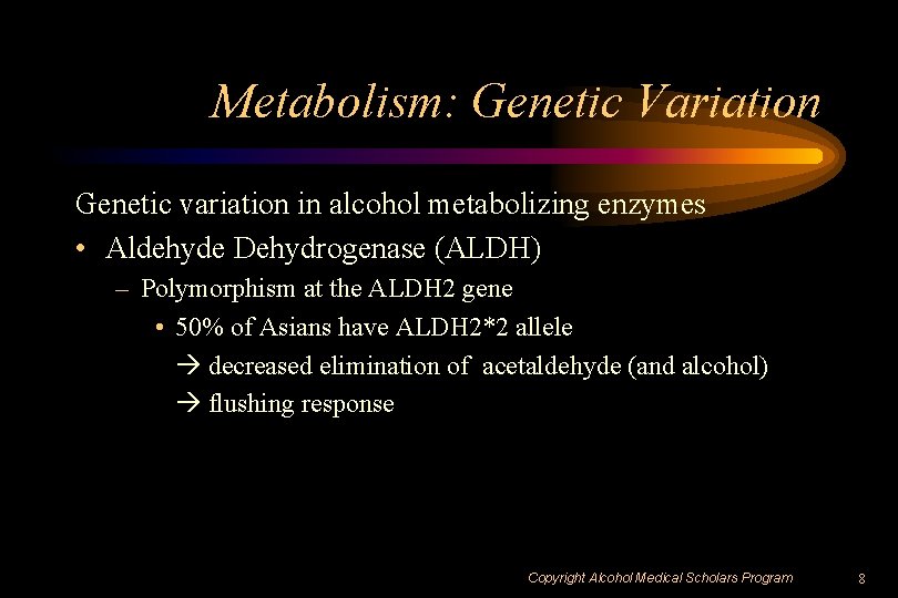 Metabolism: Genetic Variation Genetic variation in alcohol metabolizing enzymes • Aldehyde Dehydrogenase (ALDH) –