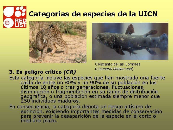 Categorías de especies de la UICN Celacanto de las Comores (Latimeria chalumnae) 3. En