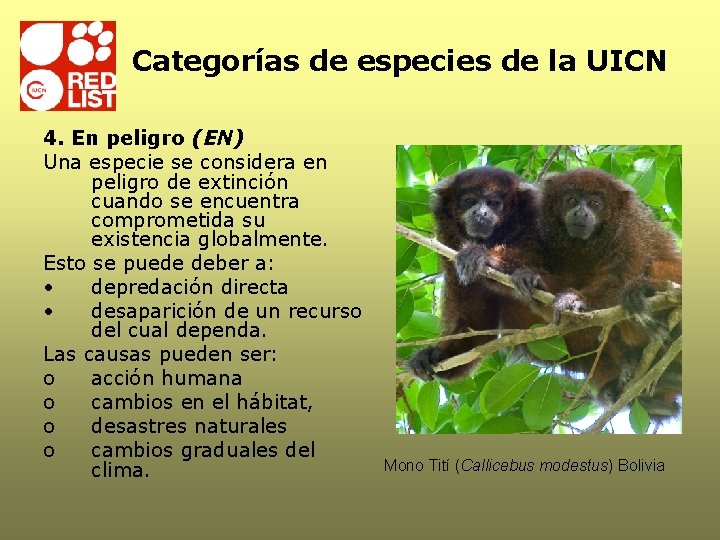 Categorías de especies de la UICN 4. En peligro (EN) Una especie se considera