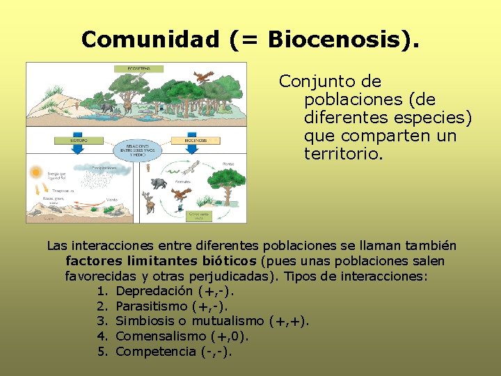 Comunidad (= Biocenosis). Conjunto de poblaciones (de diferentes especies) que comparten un territorio. Las