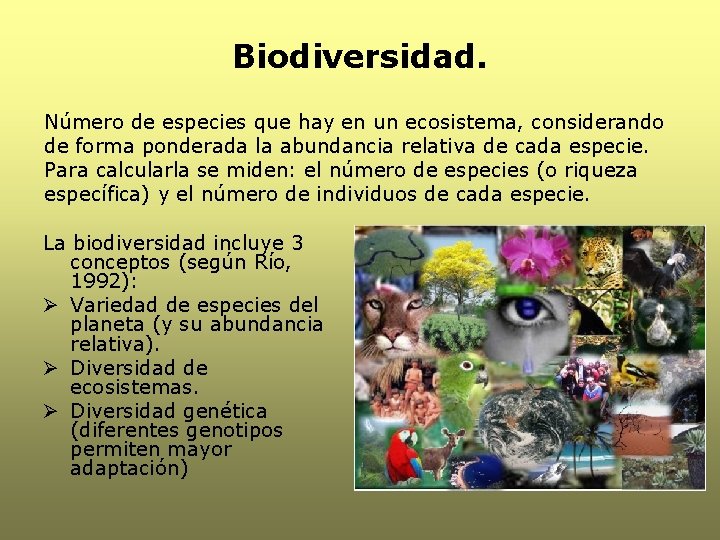 Biodiversidad. Número de especies que hay en un ecosistema, considerando de forma ponderada la