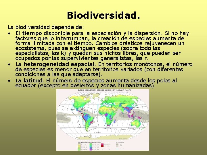 Biodiversidad. La biodiversidad depende de: • El tiempo disponible para la especiación y la