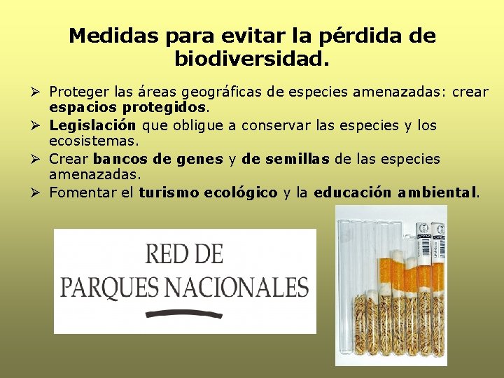 Medidas para evitar la pérdida de biodiversidad. Ø Proteger las áreas geográficas de especies