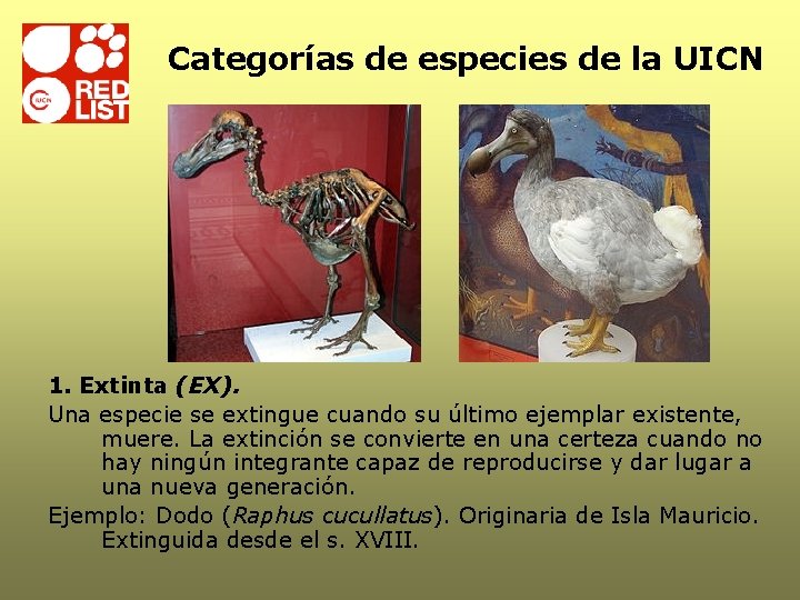 Categorías de especies de la UICN 1. Extinta (EX). Una especie se extingue cuando