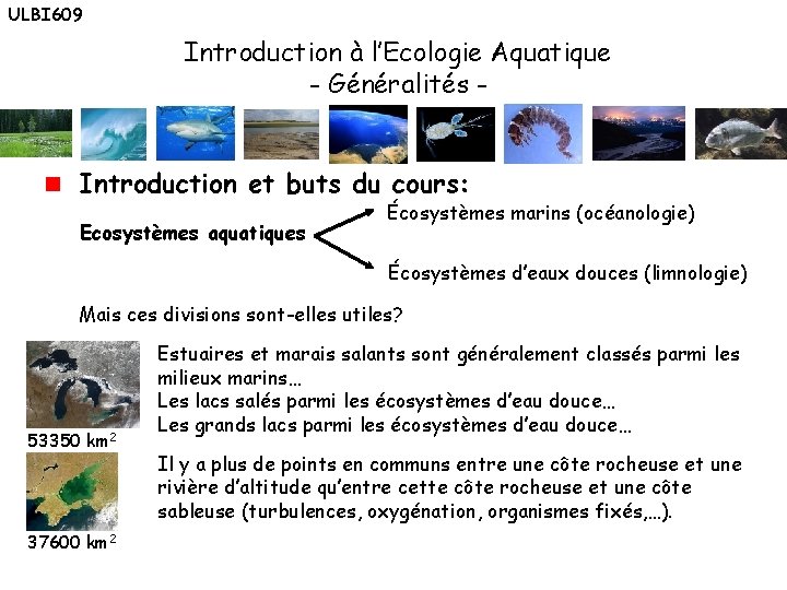 ULBI 609 Introduction à l’Ecologie Aquatique - Généralités Introduction et buts du cours: Ecosystèmes