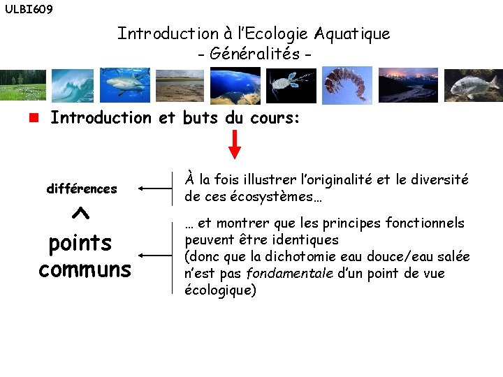 ULBI 609 Introduction à l’Ecologie Aquatique - Généralités Introduction et buts du cours: >