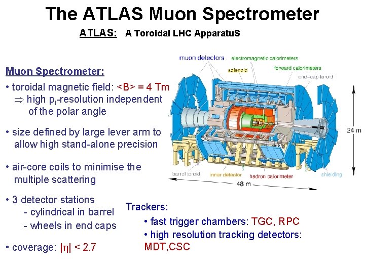 The ATLAS Muon Spectrometer ATLAS: A Toroidal LHC Apparatu. S Muon Spectrometer: • toroidal