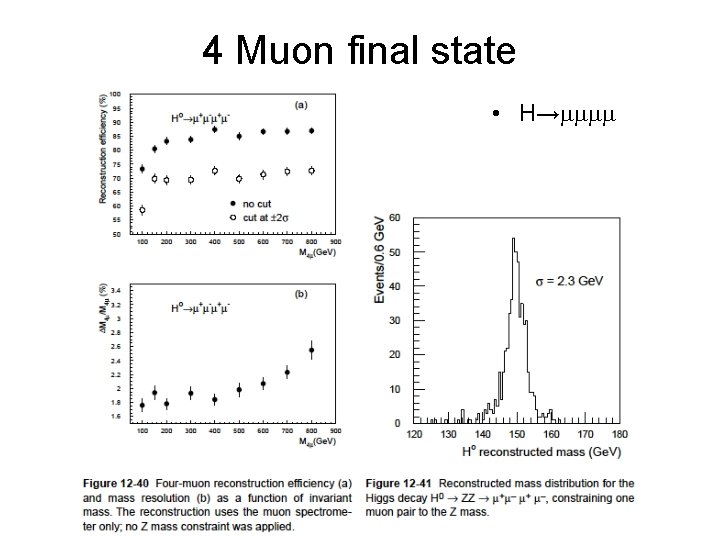 4 Muon final state • H→mmmm 