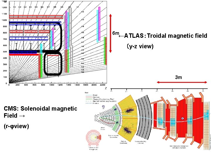 6 m ←ATLAS：Troidal magnetic field 　　（y-z view) 3 m CMS: Solenoidal magnetic Field →