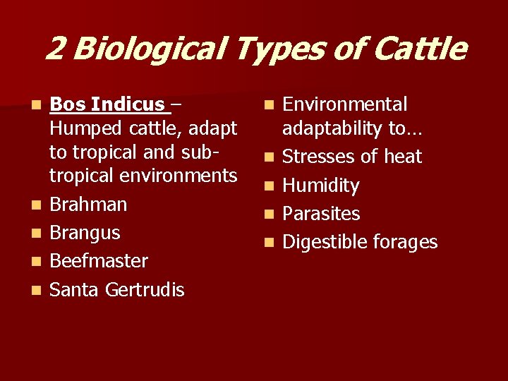 2 Biological Types of Cattle n n n Bos Indicus – Humped cattle, adapt