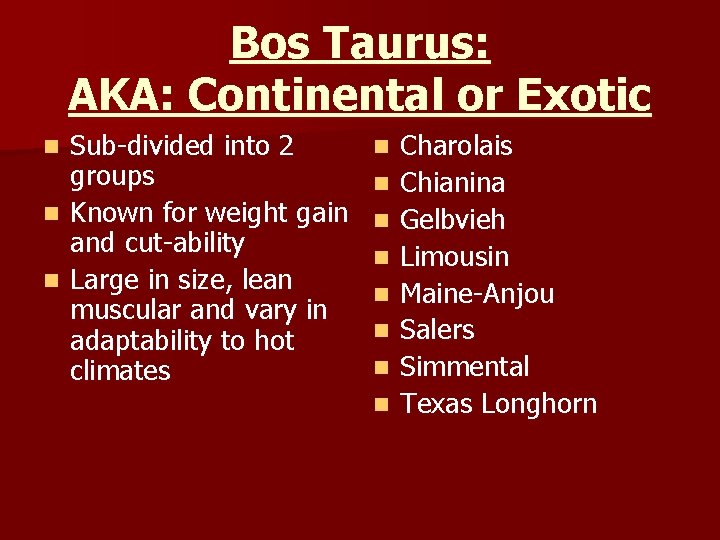 Bos Taurus: AKA: Continental or Exotic Sub-divided into 2 groups n Known for weight