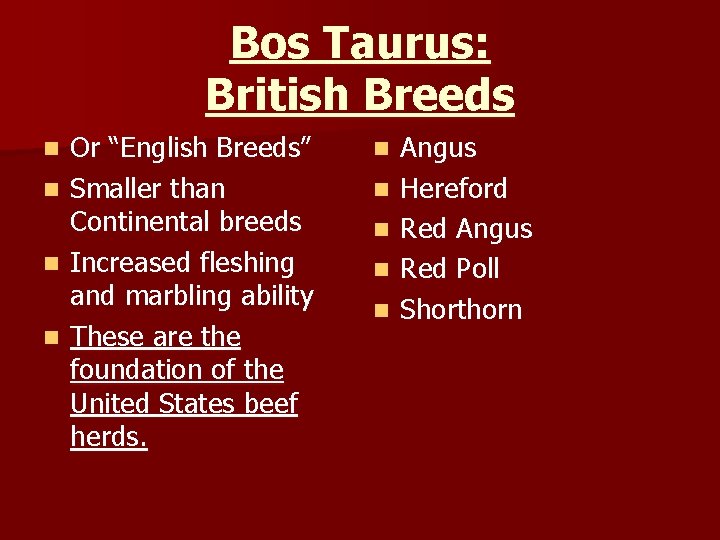 Bos Taurus: British Breeds n n Or “English Breeds” Smaller than Continental breeds Increased