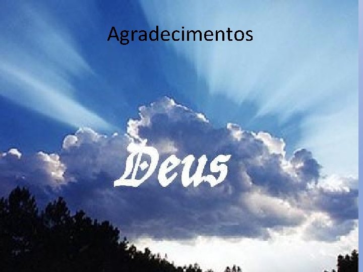 Agradecimentos 