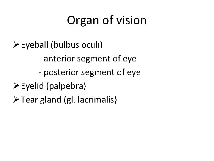 Organ of vision Ø Eyeball (bulbus oculi) - anterior segment of eye - posterior