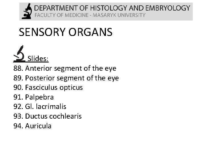 SENSORY ORGANS Slides: 88. Anterior segment of the eye 89. Posterior segment of the