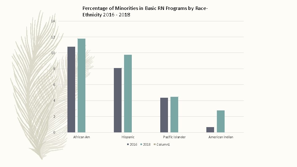 Percentage of Minorities in Basic RN Programs by Race. Ethnicity 2016 - 2018 14