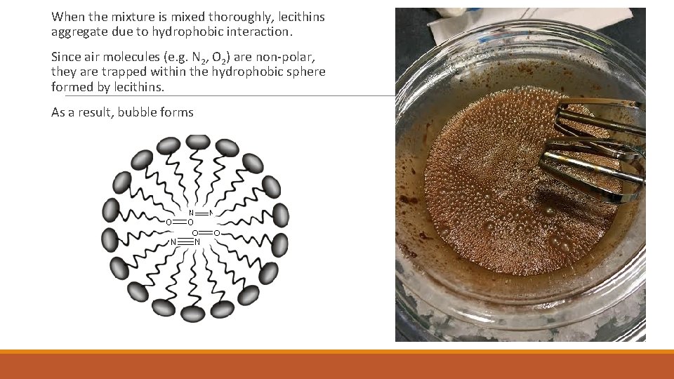  When the mixture is mixed thoroughly, lecithins aggregate due to hydrophobic interaction. Since