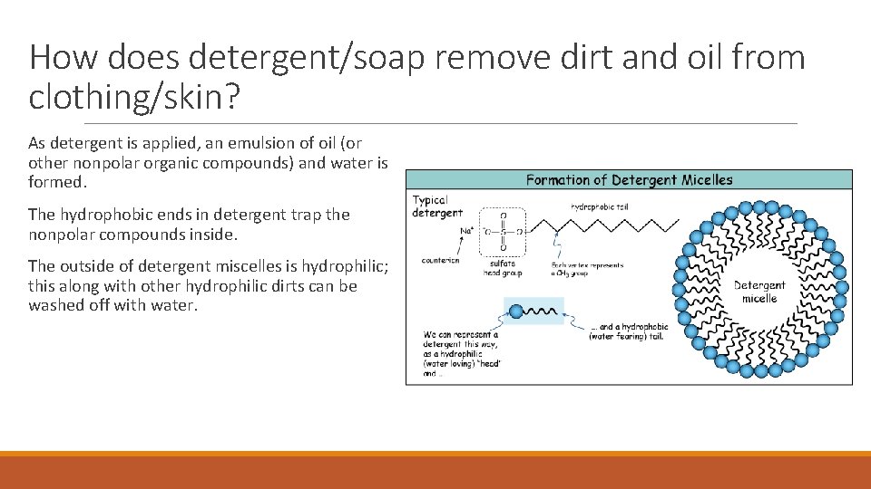 How does detergent/soap remove dirt and oil from clothing/skin? As detergent is applied, an