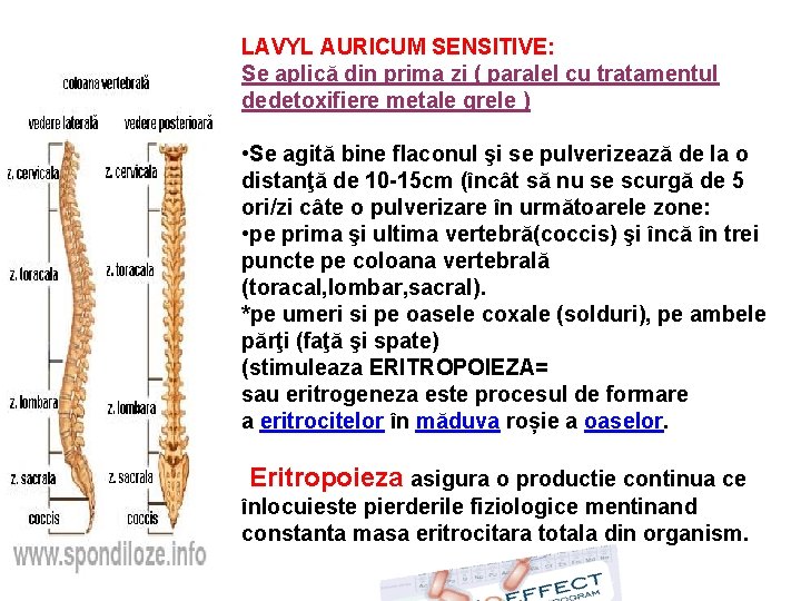 LAVYL AURICUM SENSITIVE: Se aplică din prima zi ( paralel cu tratamentul dedetoxifiere metale