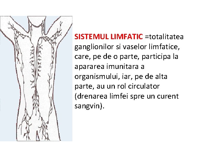 SISTEMUL LIMFATIC =totalitatea ganglionilor si vaselor limfatice, care, pe de o parte, participa la