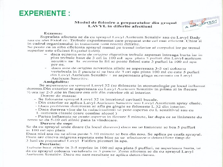 EXPERIENTE : EXPERIENTE :