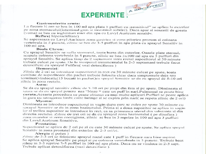 EXPERIENTE : 